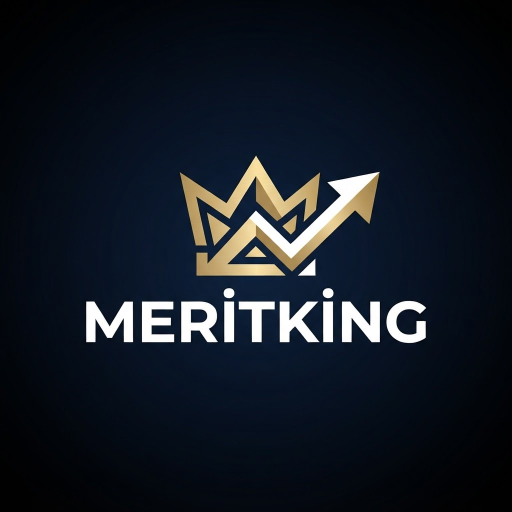 MERİTKİNG logosu